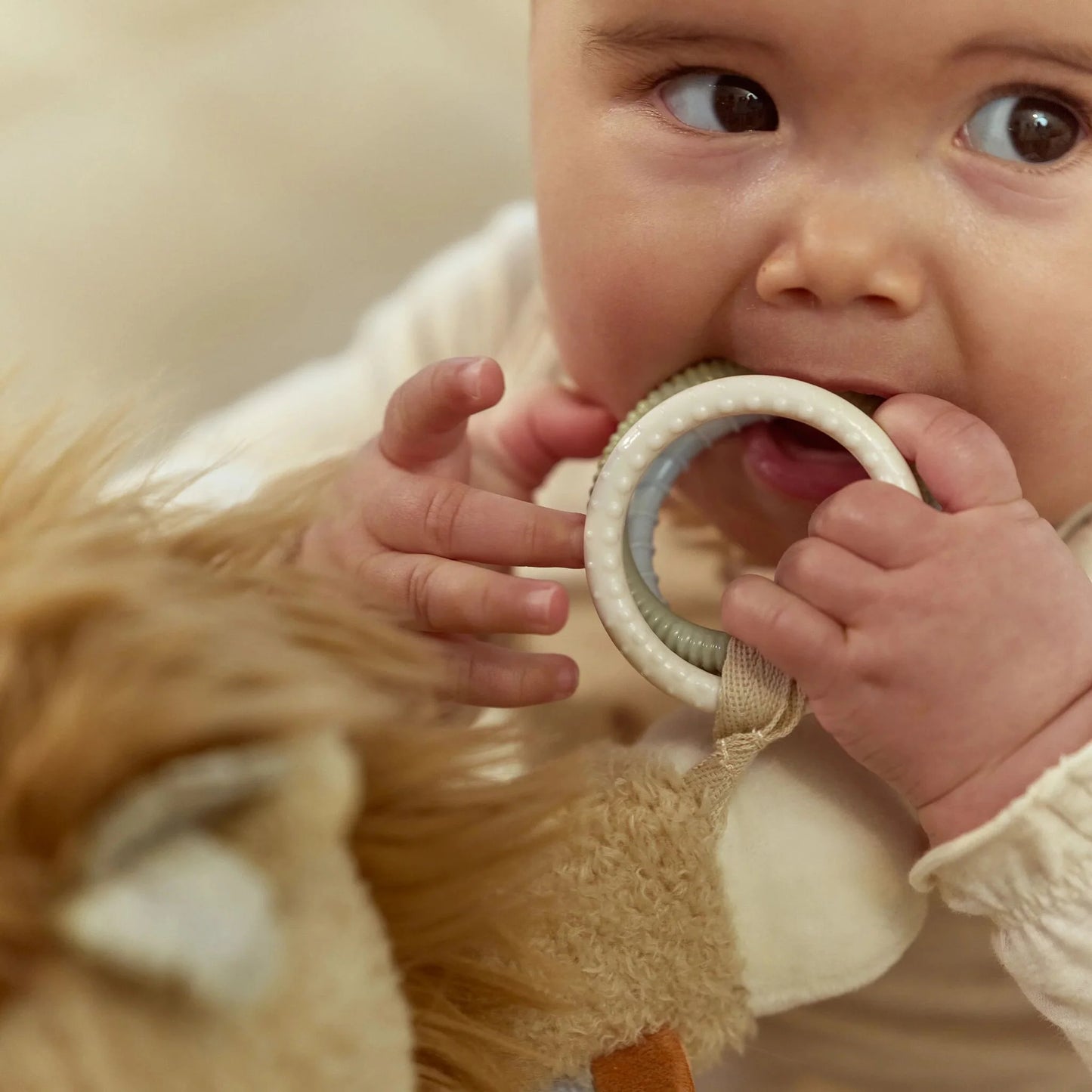 Little Dutch - Activity Cuddly Lion - Safari Friends