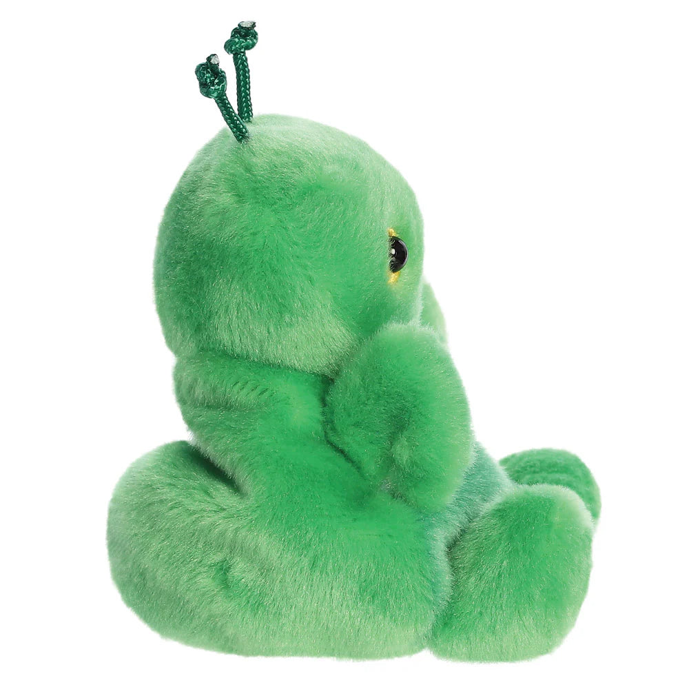 Palm Pals - Kai Praying Mantis