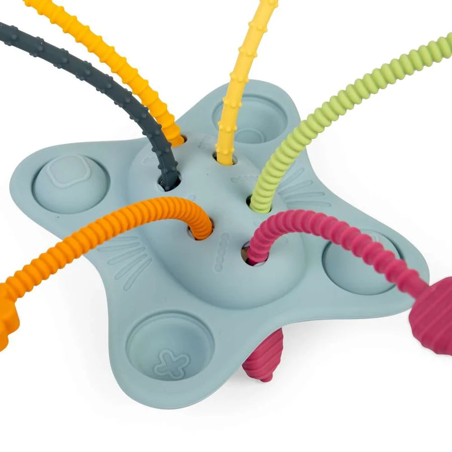 Bigjigs Toys - Pull Push and Pop Toy
