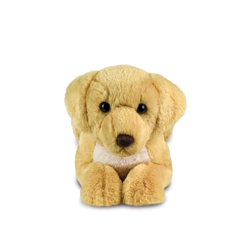Borealis Bertie Labrador