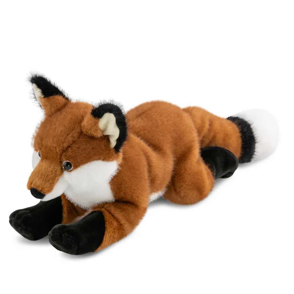 Borealis Flynn Fox