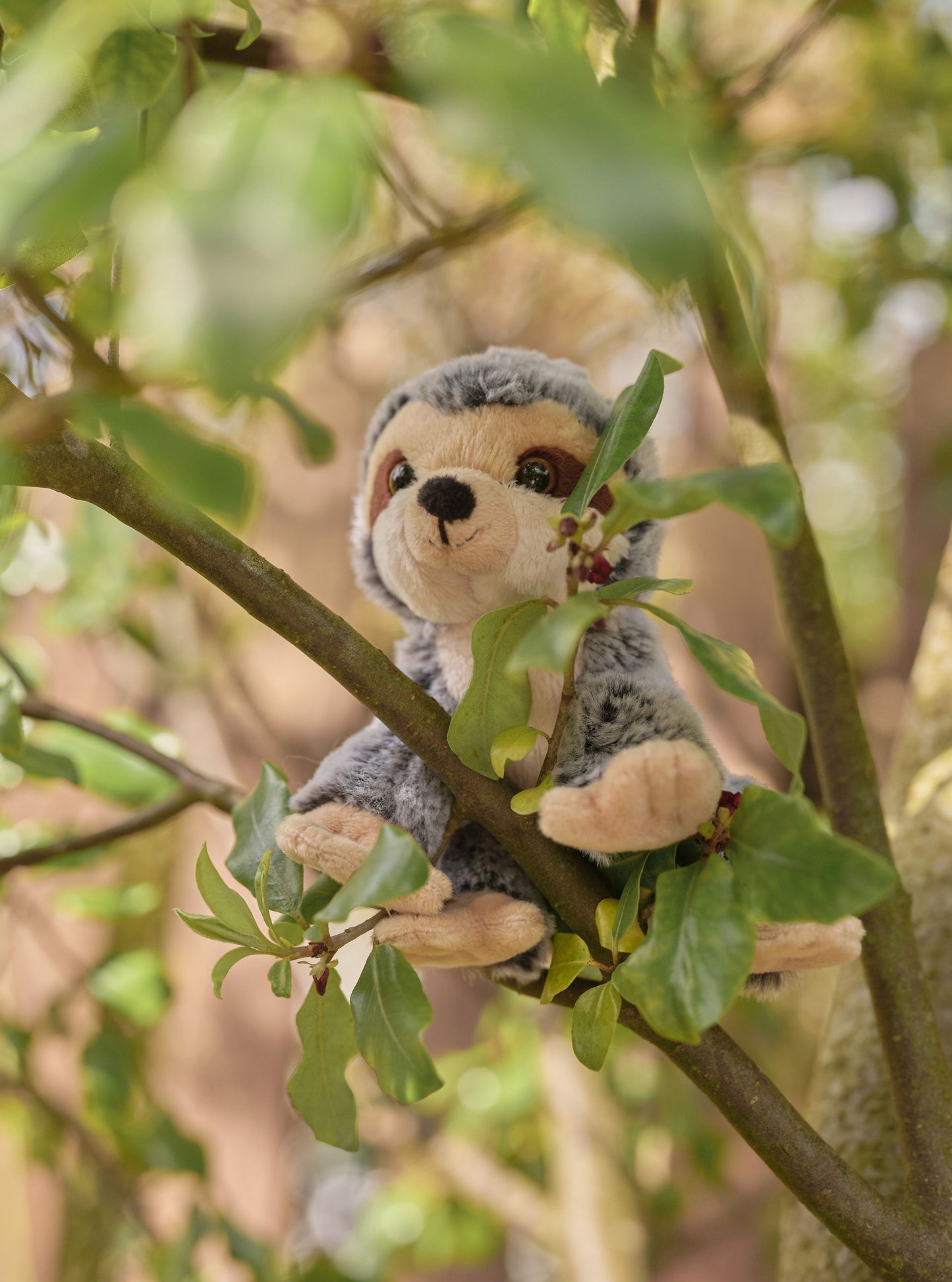 Charlie Bears - Cuddle Cub Sloth