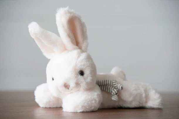 Bukowski - Buster Bunny - White