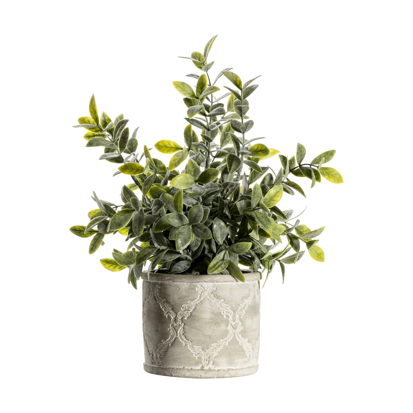 Sage Dusky Plant With Patterned Pot