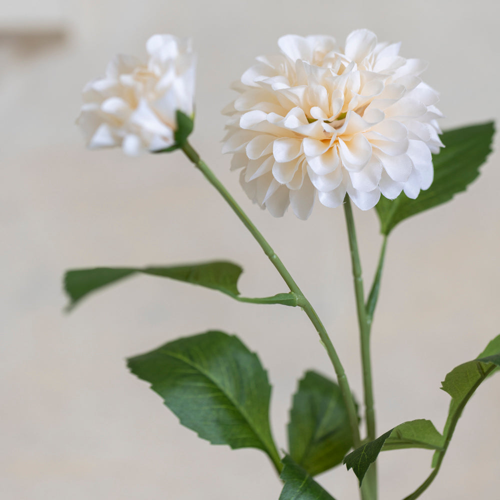Faux Dahlia Flower Stem - Ivory