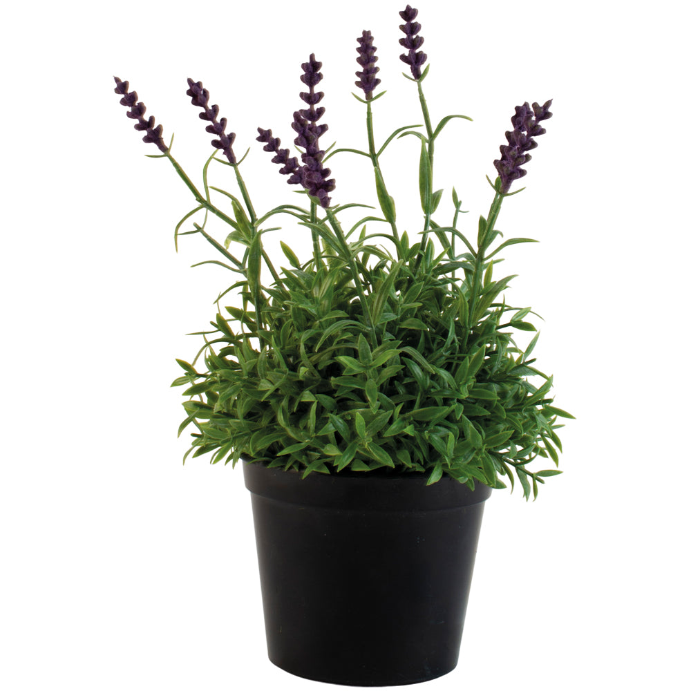 Faux Lavender In Black Pot