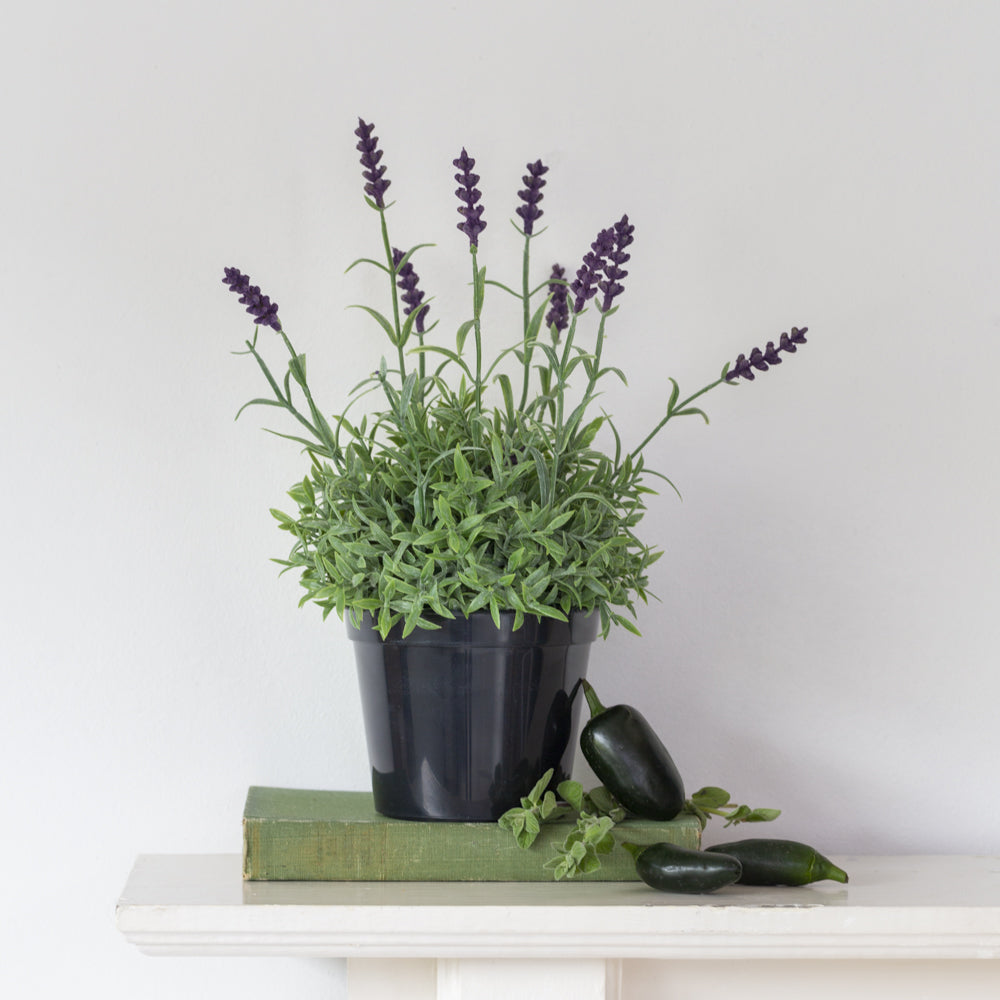 Faux Lavender In Black Pot