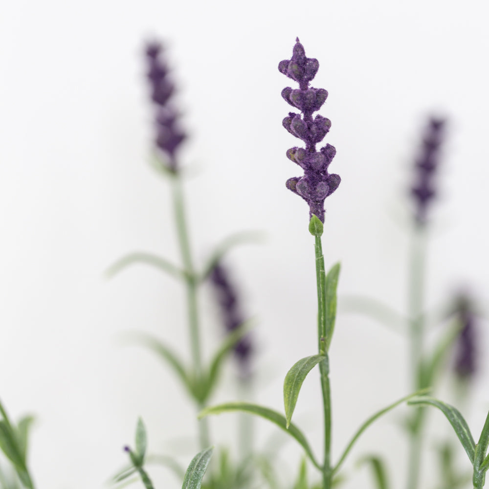Faux Lavender In Black Pot