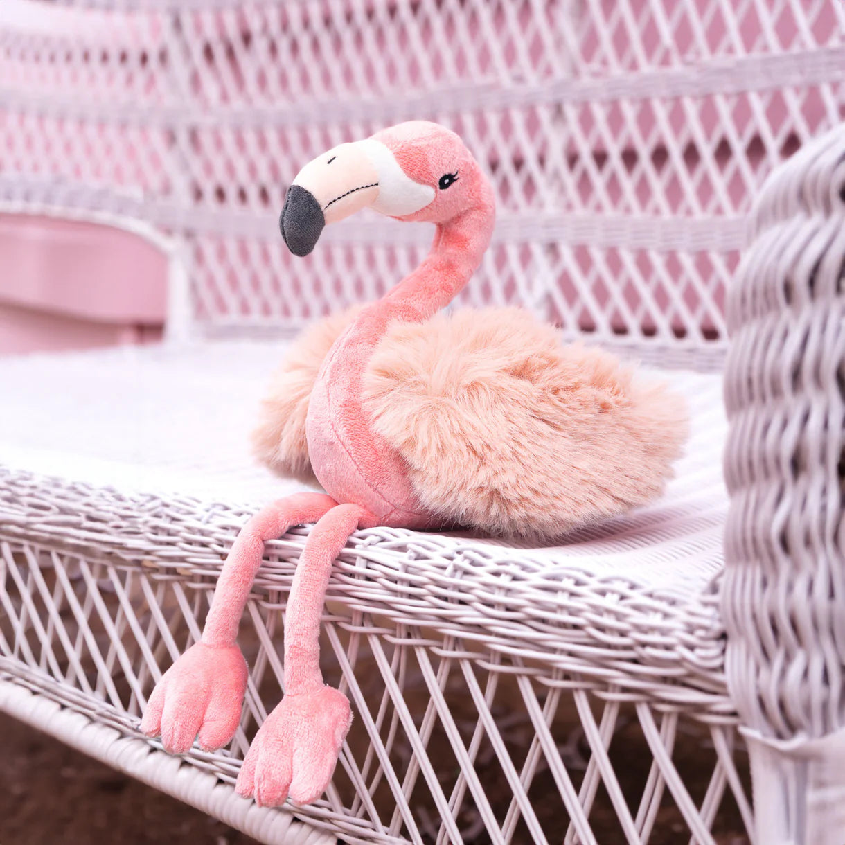 Bukowski - Phoebe Flamingo