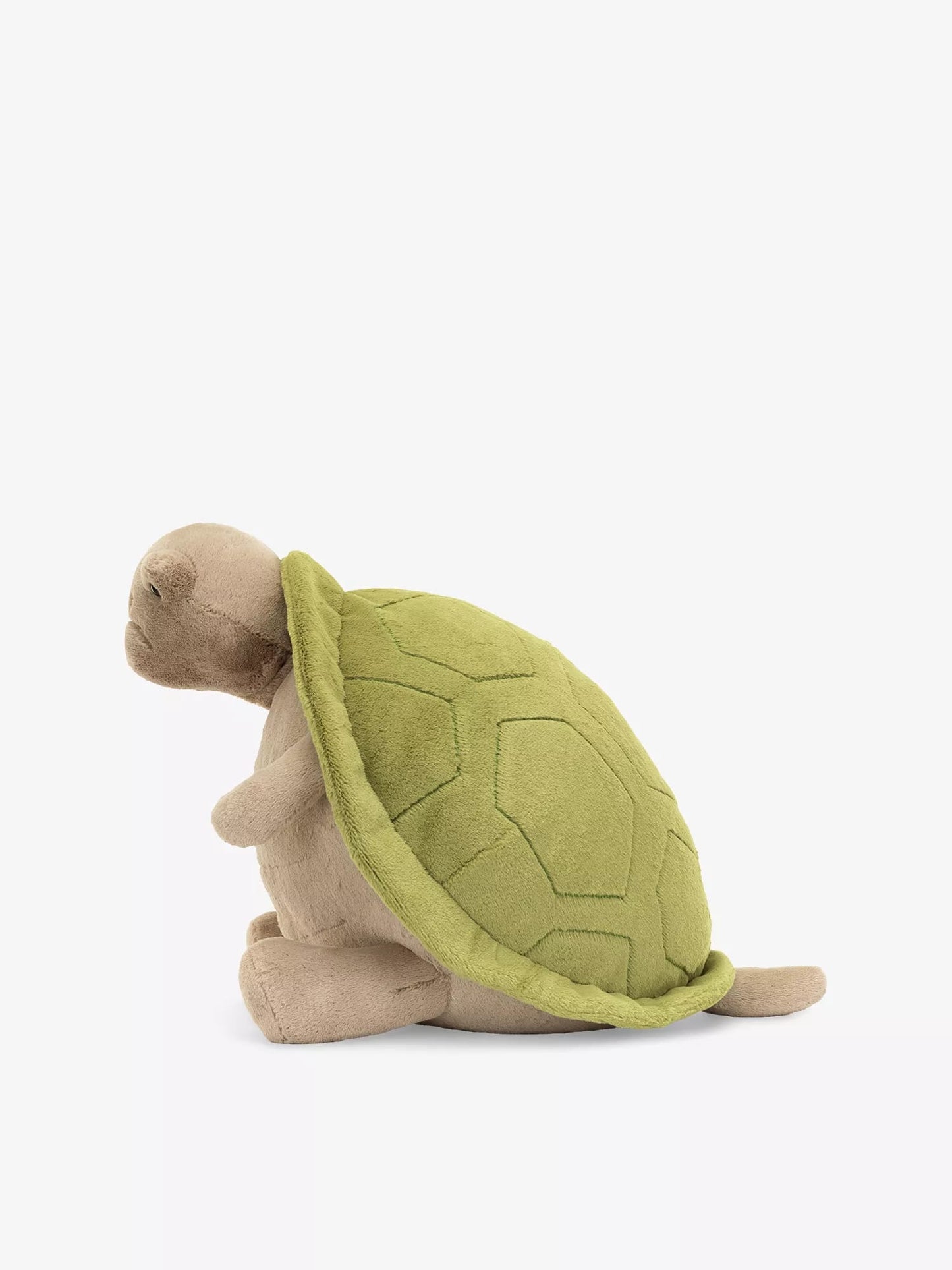 Jellycat - Timmy Turtle - Big