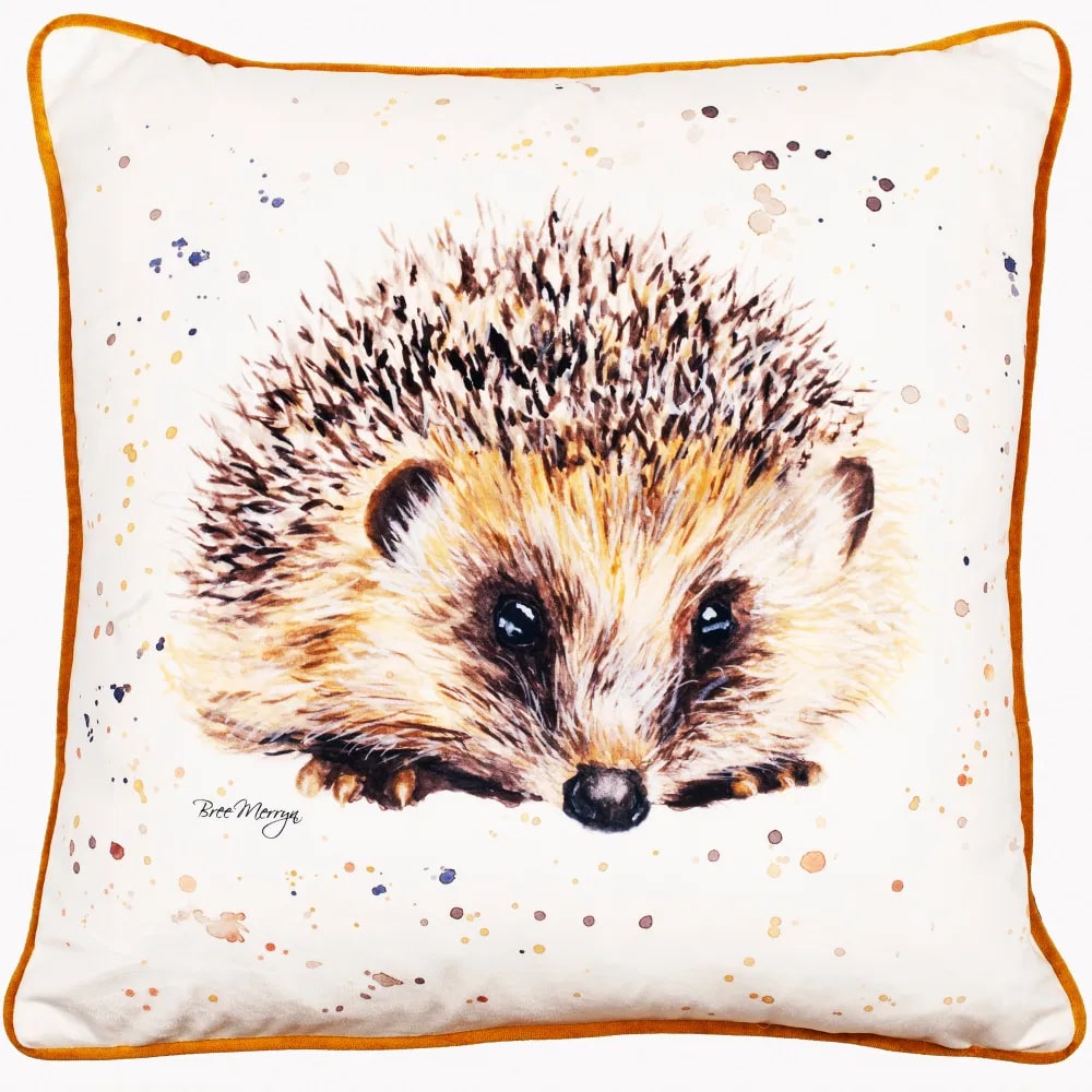 'Spike' the Hedgehog Printed Velvet Cushion