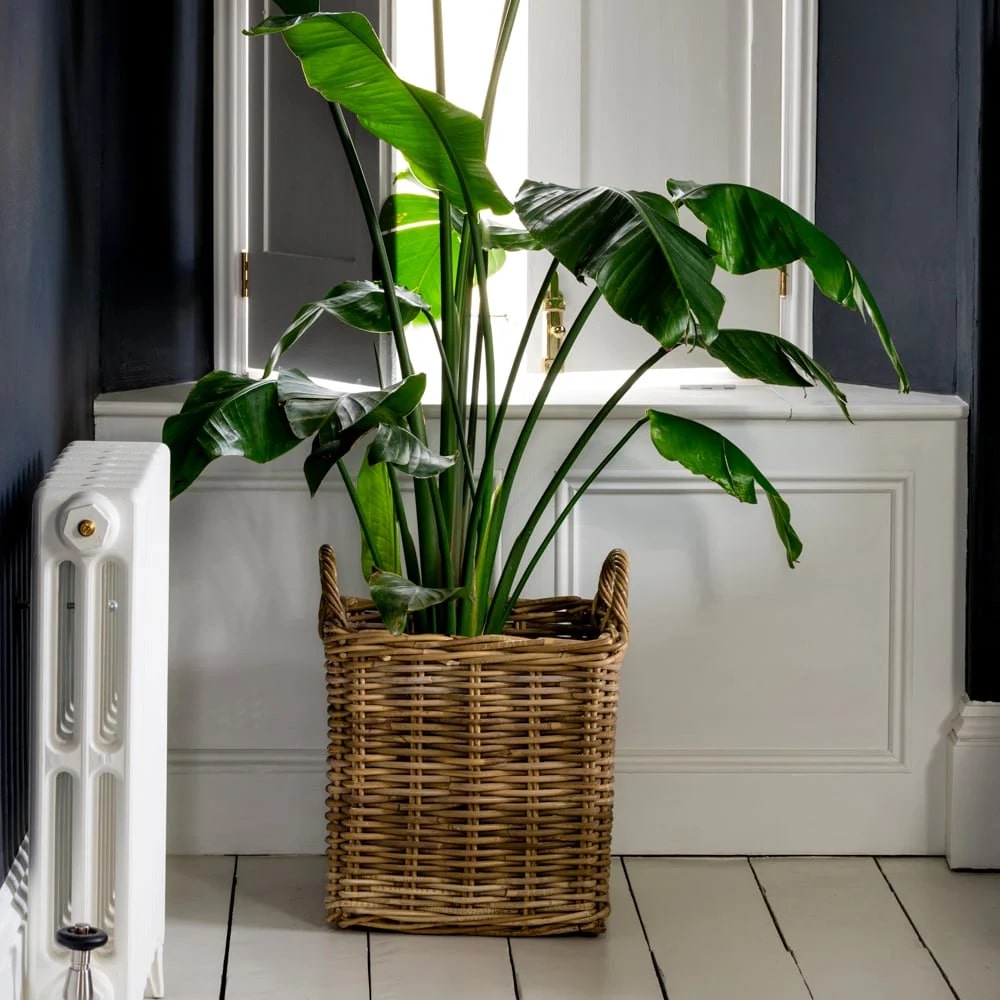 Kubu Rattan Wicker Lined Planter - Medium