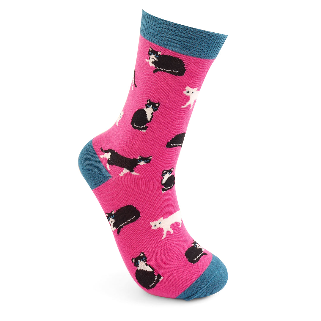 Miss Sparrow - Black & White Cats Socks - Fuchsia