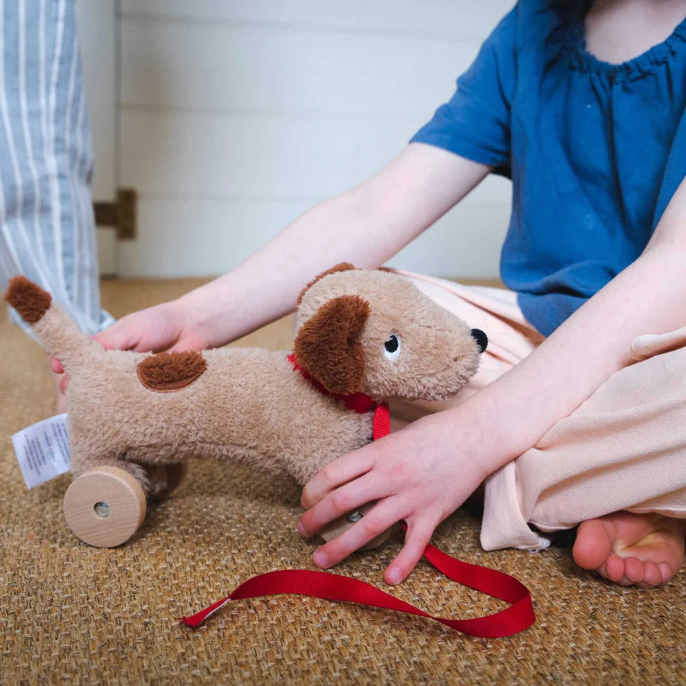 Threadbear - Dudley Pull Along Dog