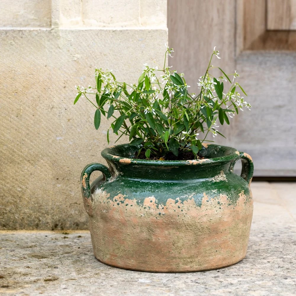 Terracotta Pot Green