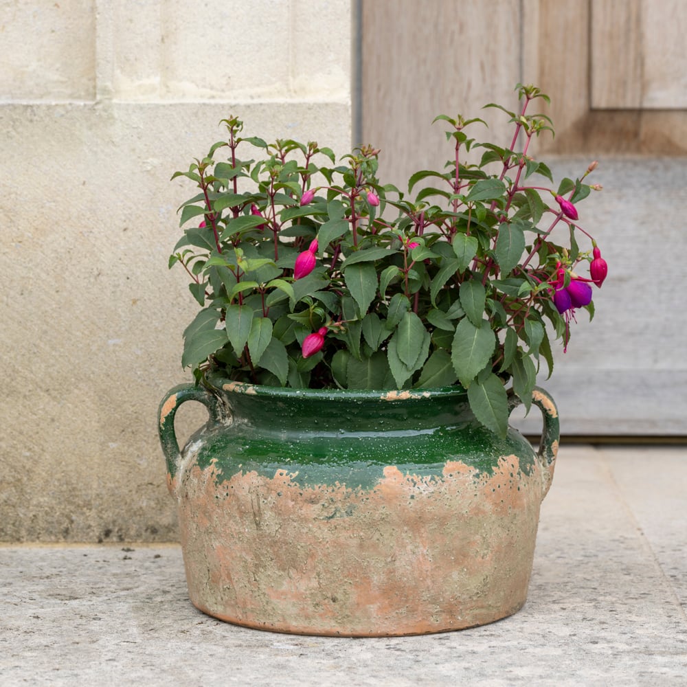 Terracotta Pot Green