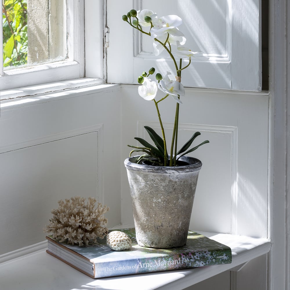 Faux White Orchid In Black Pot