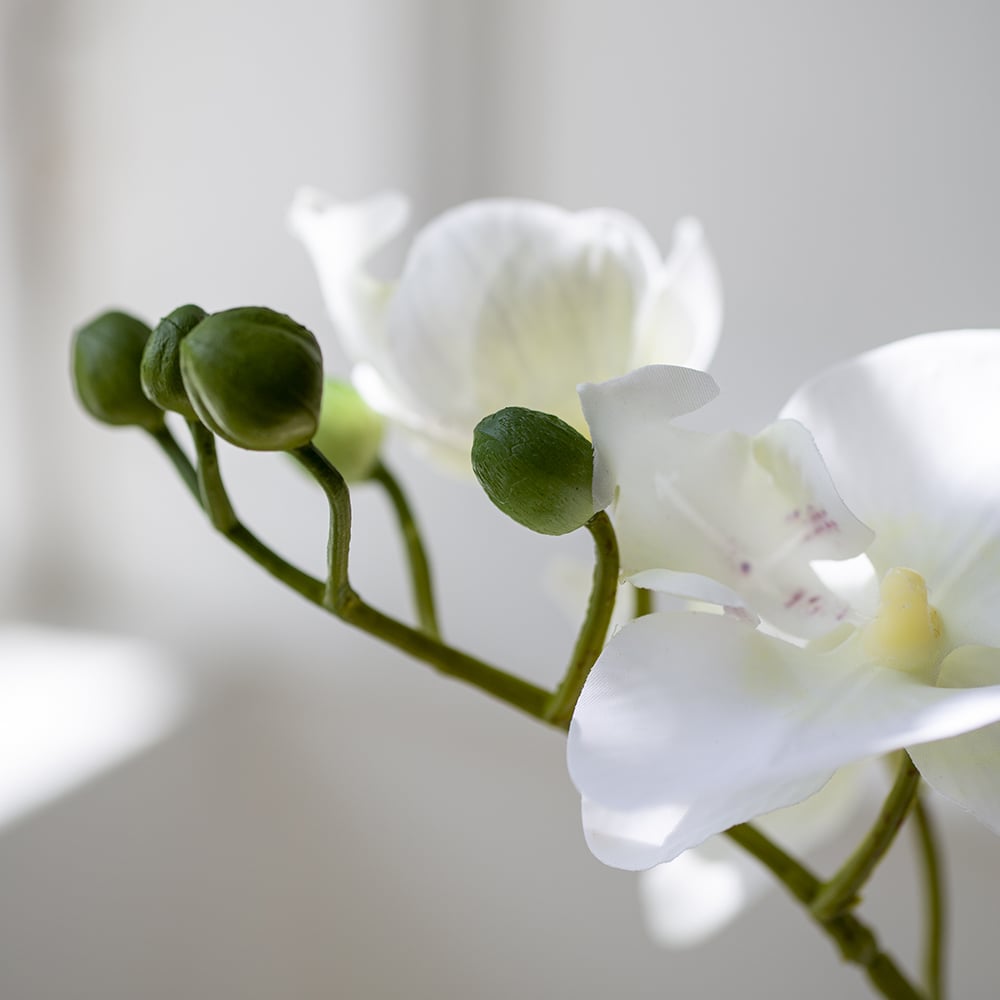 Faux White Orchid In Black Pot