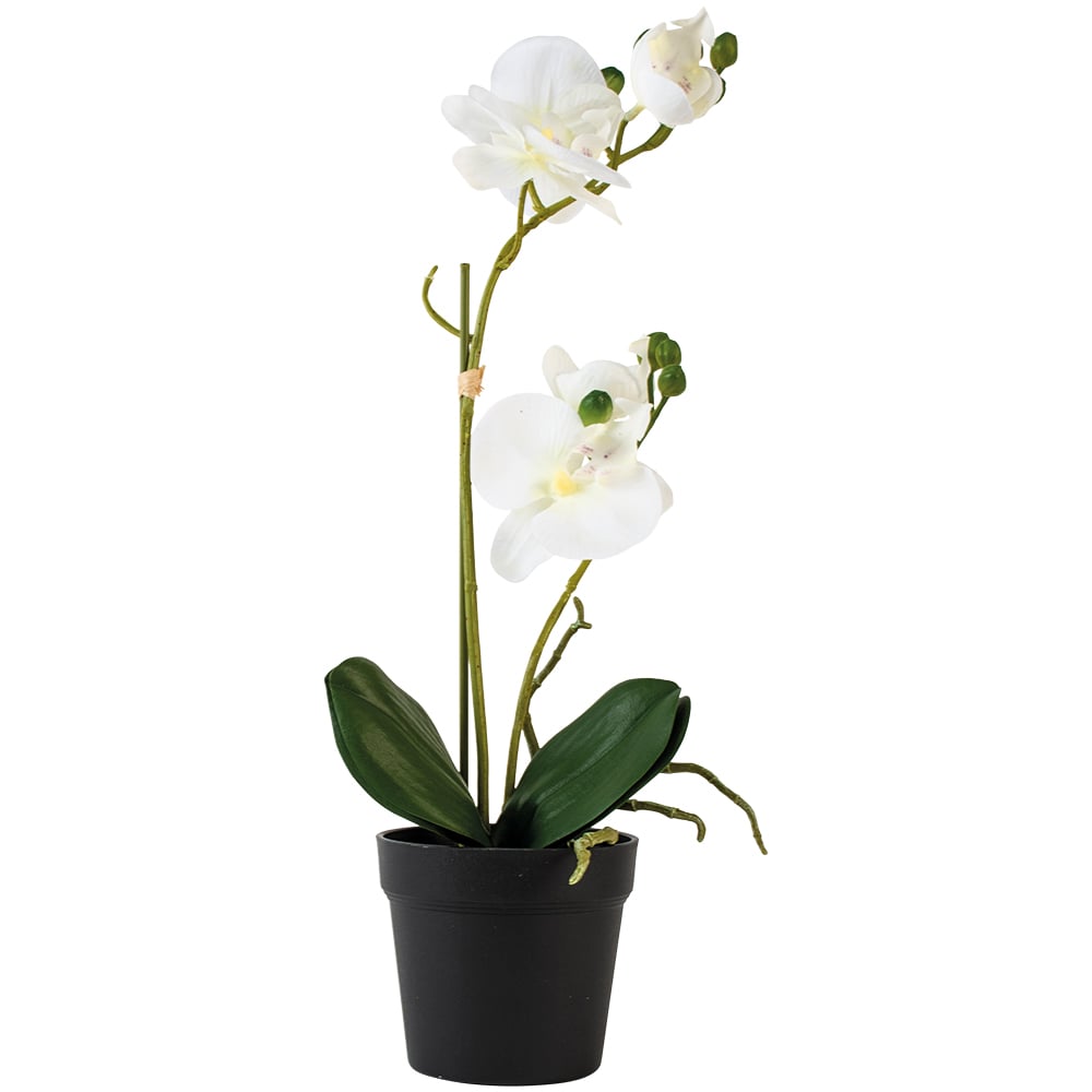 Faux White Orchid In Black Pot
