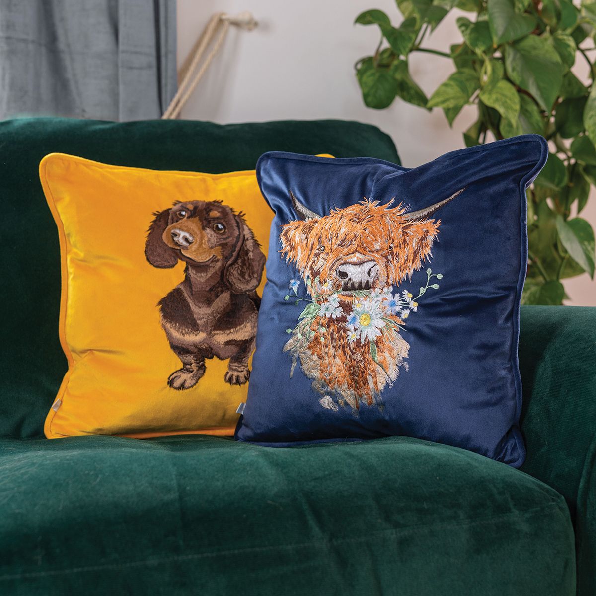 Wrendale Designs 'Daisy Coo' Highland Cow Embroidered Cushion