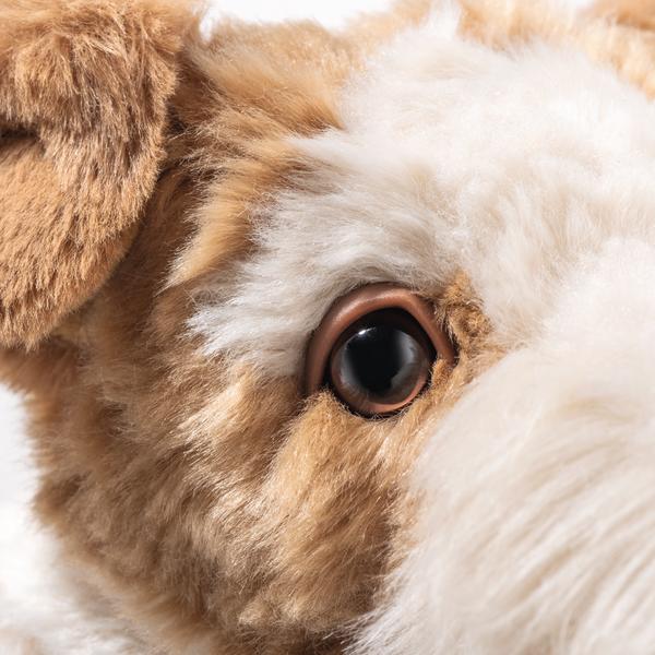 Steiff - Foxy Fox Terrier