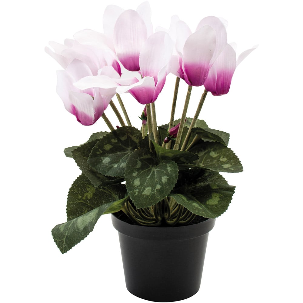 Faux Pink Cyclamen In Black Pot