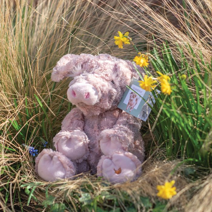 Wrendale Designs - 'Vanessa' Pig Plush Character