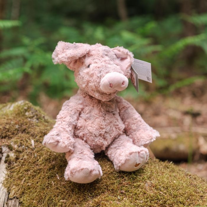 Wrendale Designs - 'Vanessa' Pig Soft Plush Character - Junior