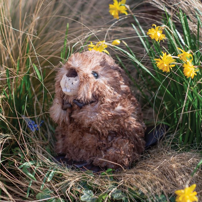 Wrendale Designs - 'Chester' Beaver Plush Character