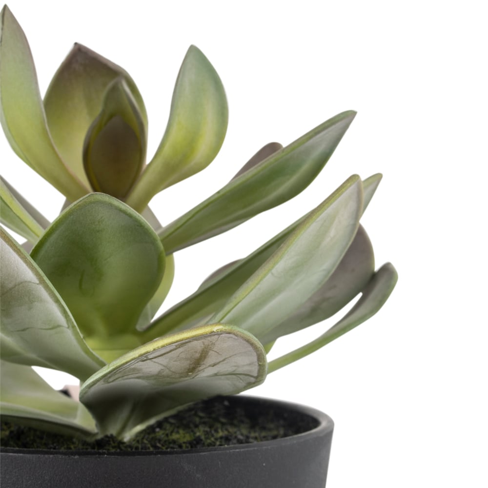 Faux Succulent Plant In Black Pot