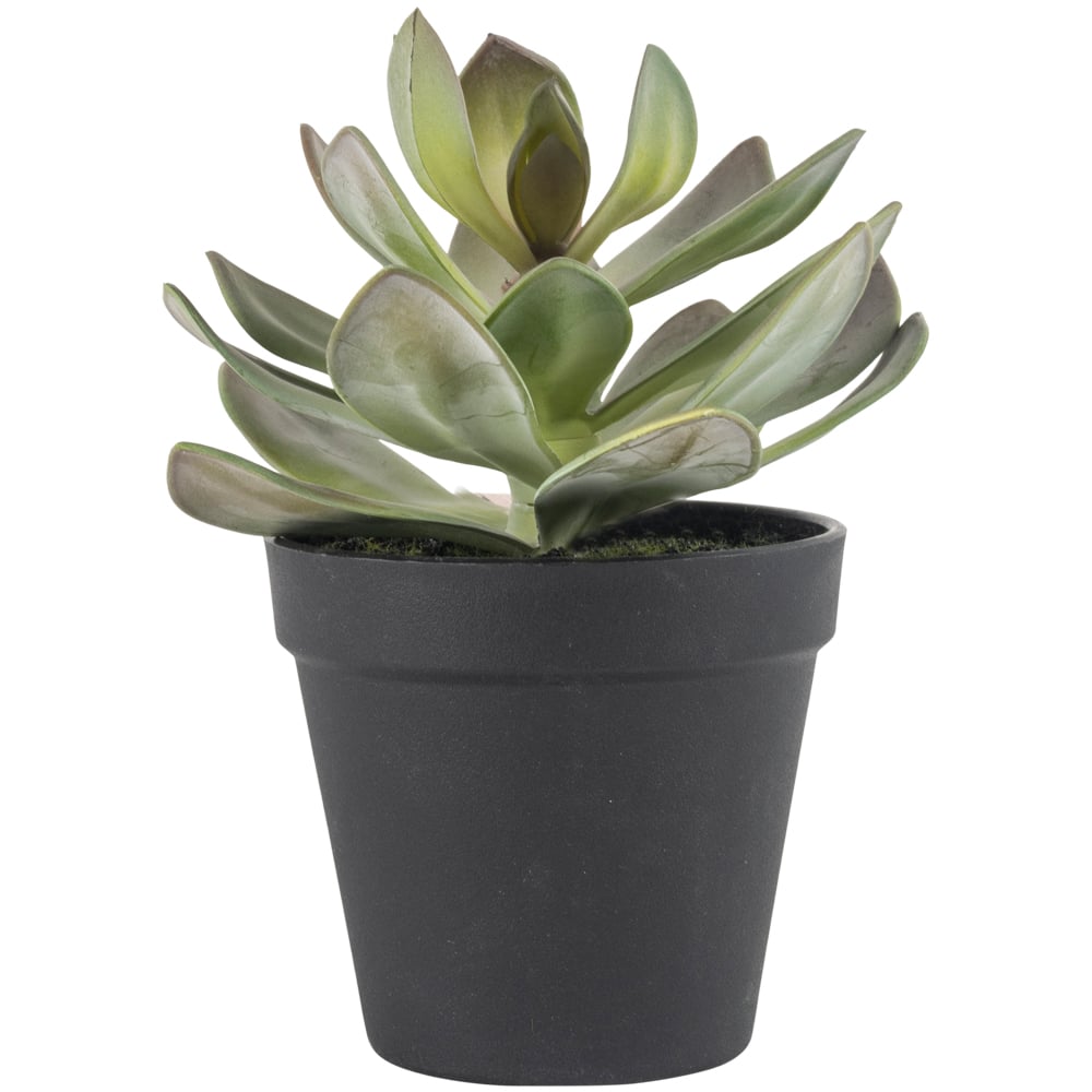 Faux Succulent Plant In Black Pot