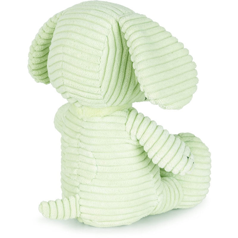 Snoopy Corduroy Fresh Mint