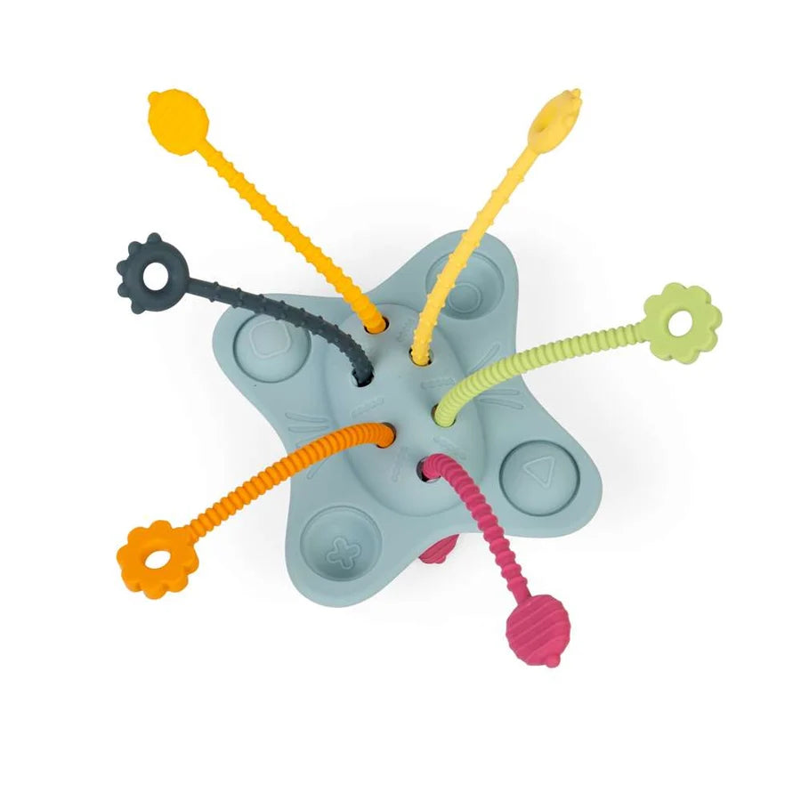 Bigjigs Toys - Pull Push and Pop Toy