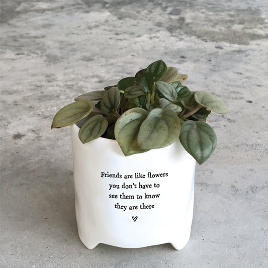 East of India - White Porcelain Planter - Friends Are Like Flowers