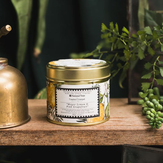 Toasted Crumpet - Meyer Lemon & Pink Grapefruit Scented Candle in a Matt Gol