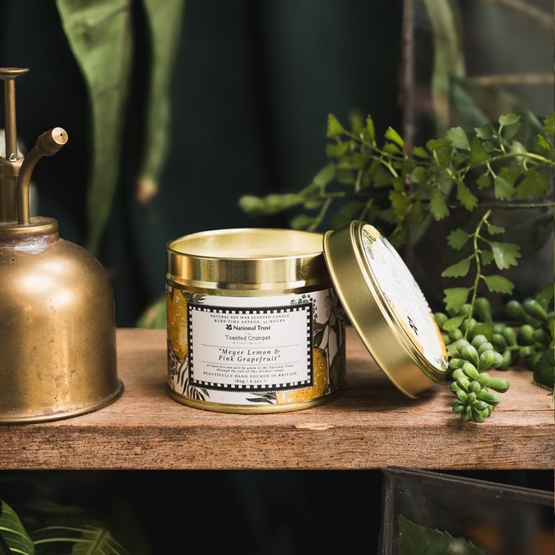 Toasted Crumpet - Meyer Lemon & Pink Grapefruit Scented Candle in a Matt Gol