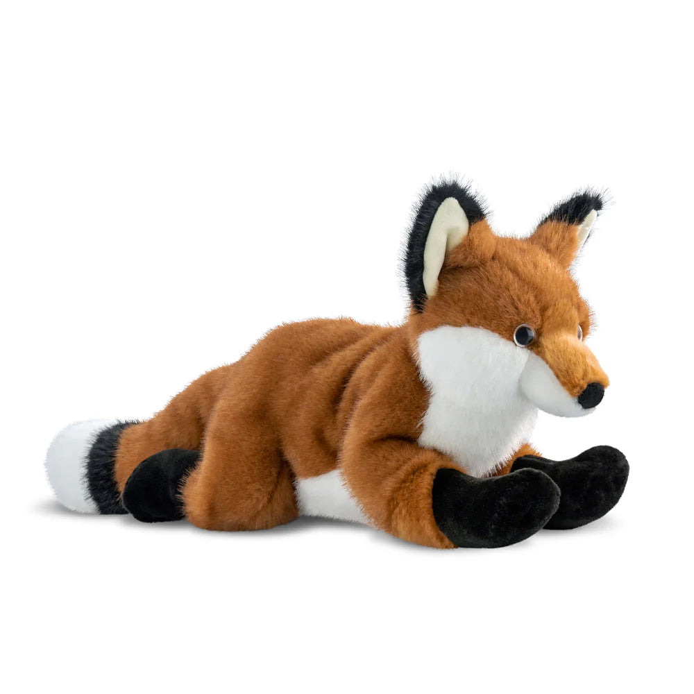 Borealis Flynn Fox