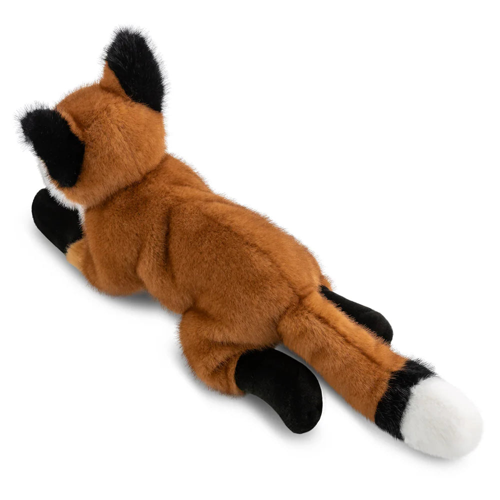 Borealis Flynn Fox