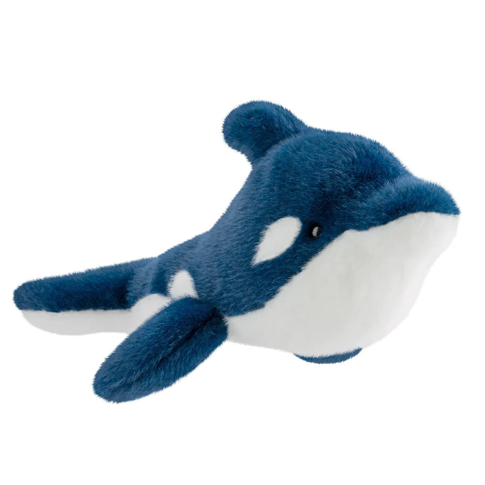 Borealis Azure Dolphin