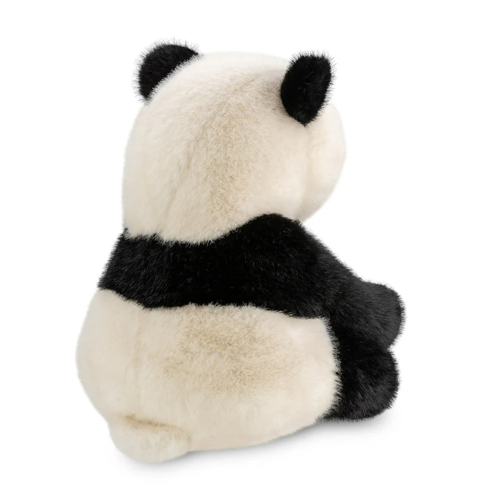 Borealis Hui Ying Panda