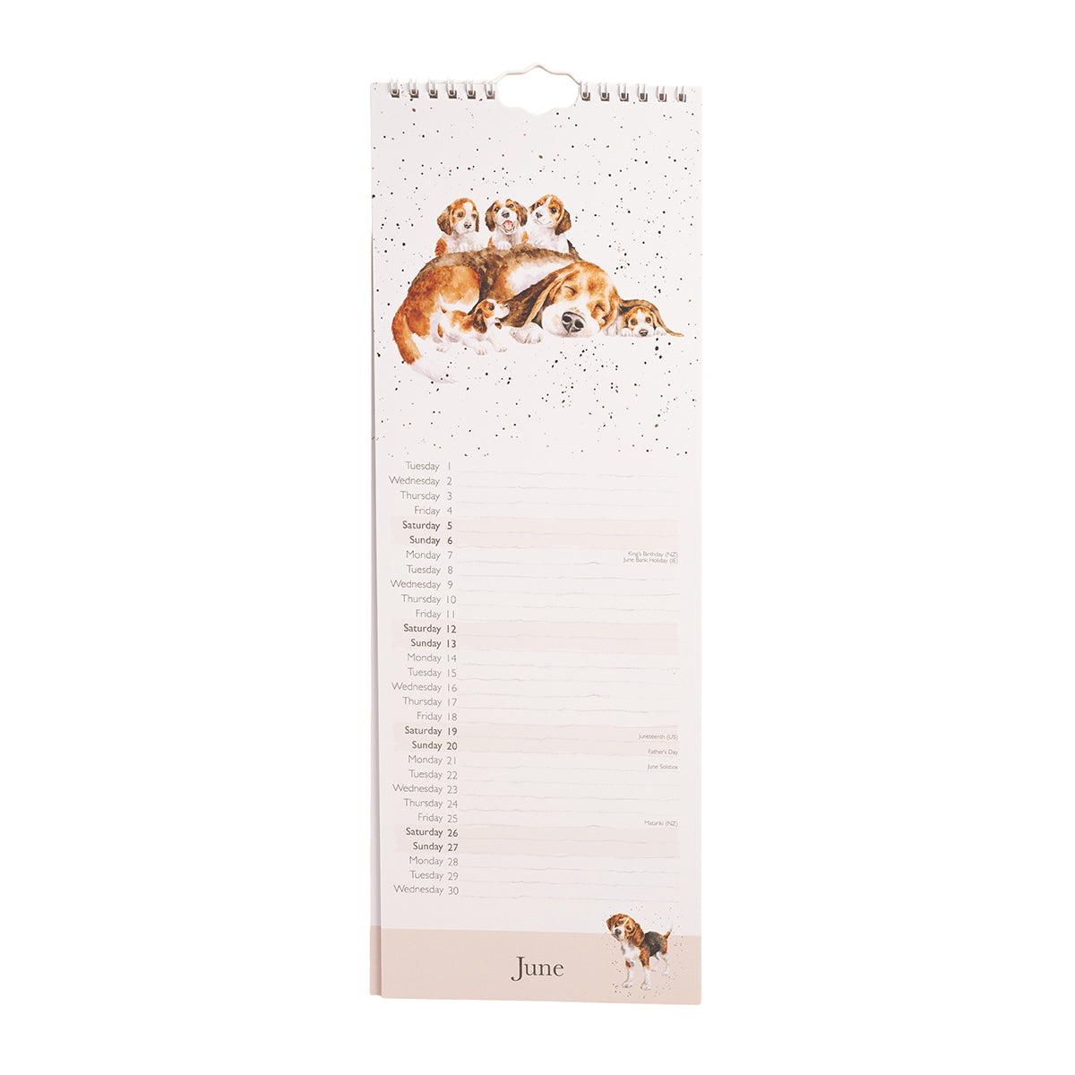 Wrendale Designs - 'A Dogs Life' Slim Calendar 2027