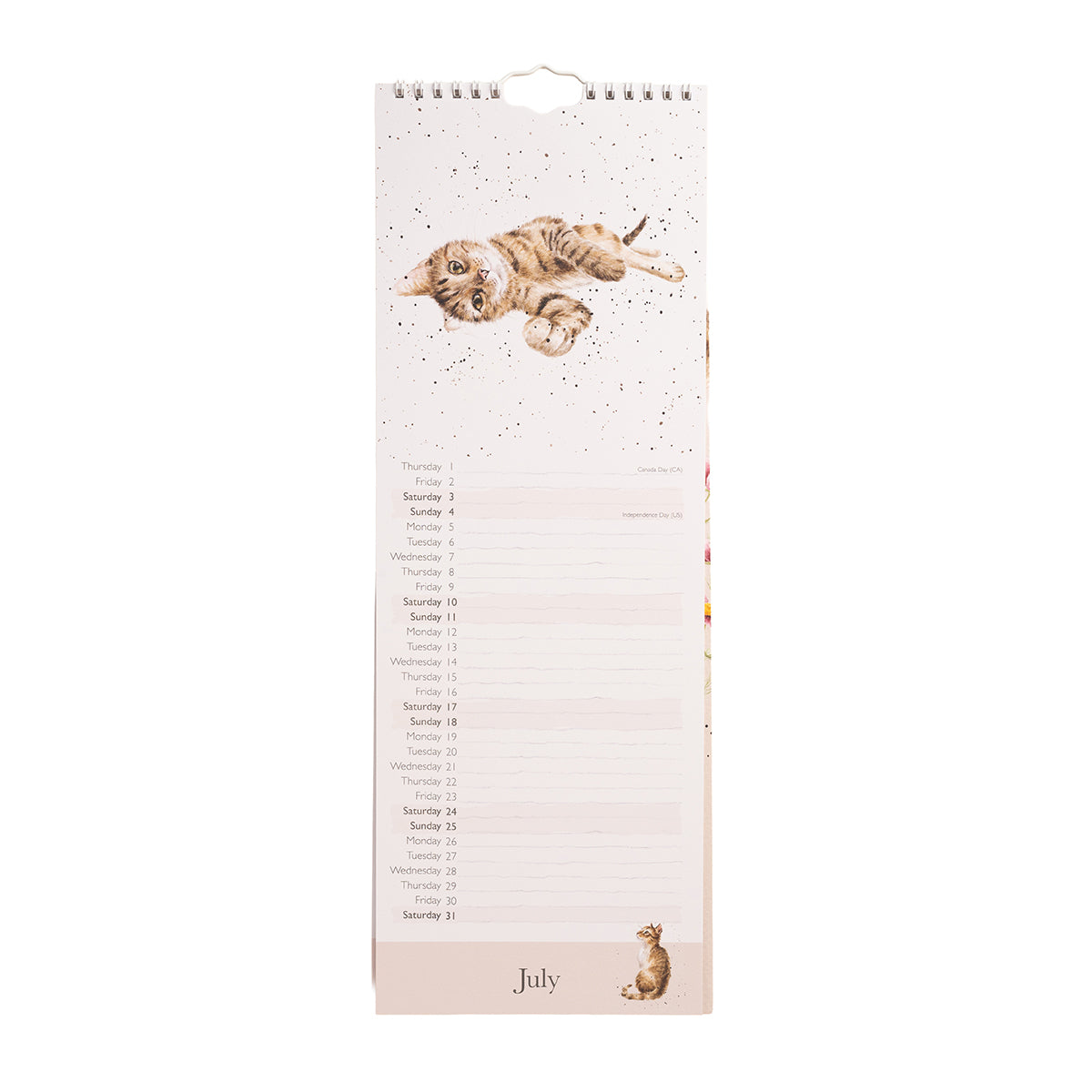 Wrendale Designs - 'Feline Friends' Cat Slim Calendar 2027
