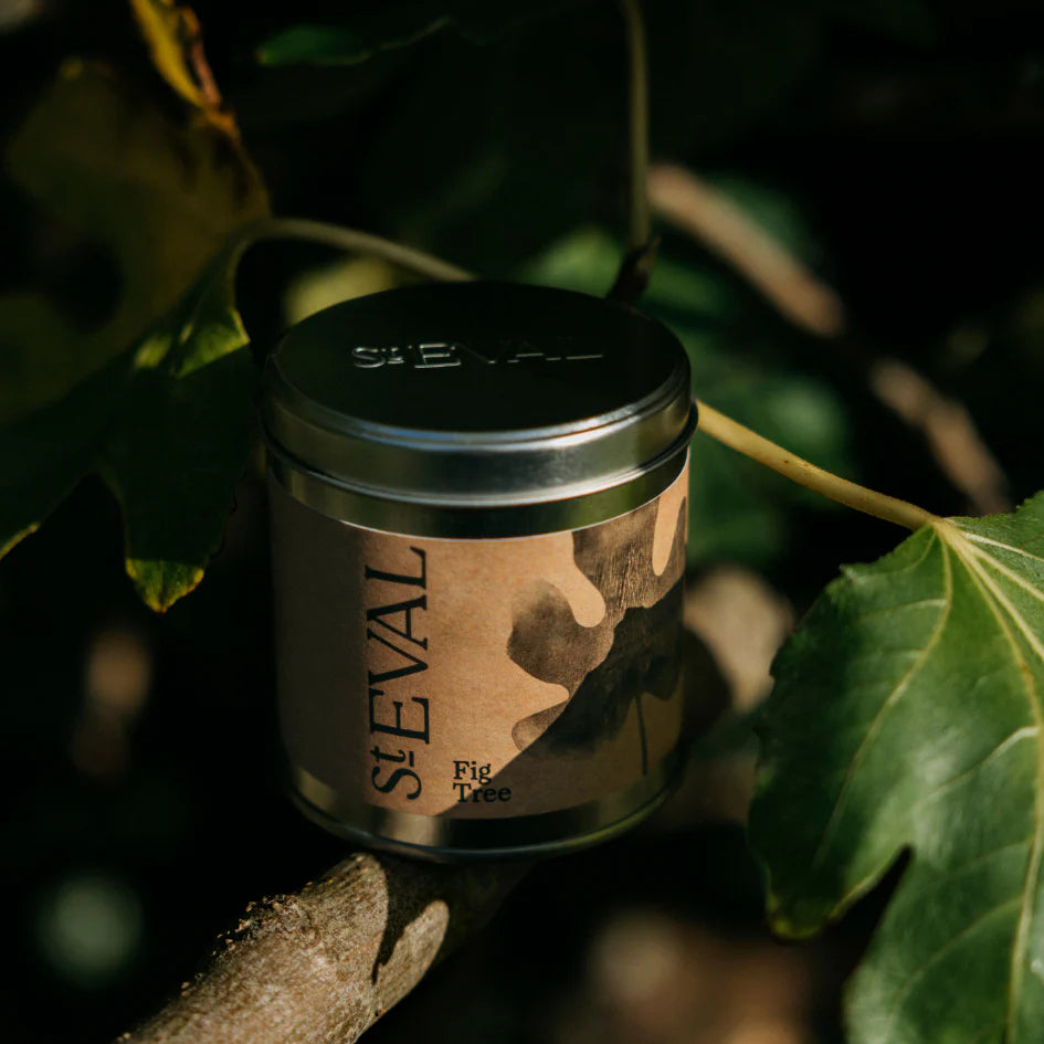 St Eval - Fig Tree Scented Candle Tin