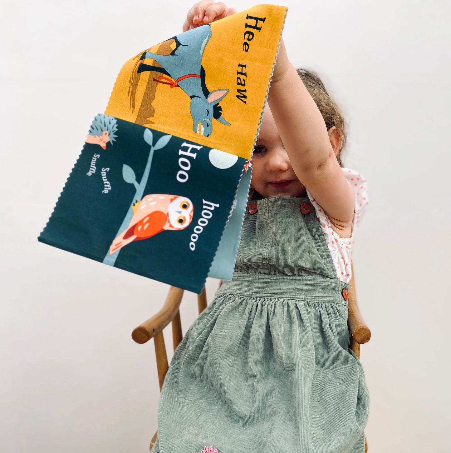 Threadbear - The Noisy Farmyard Rag Book