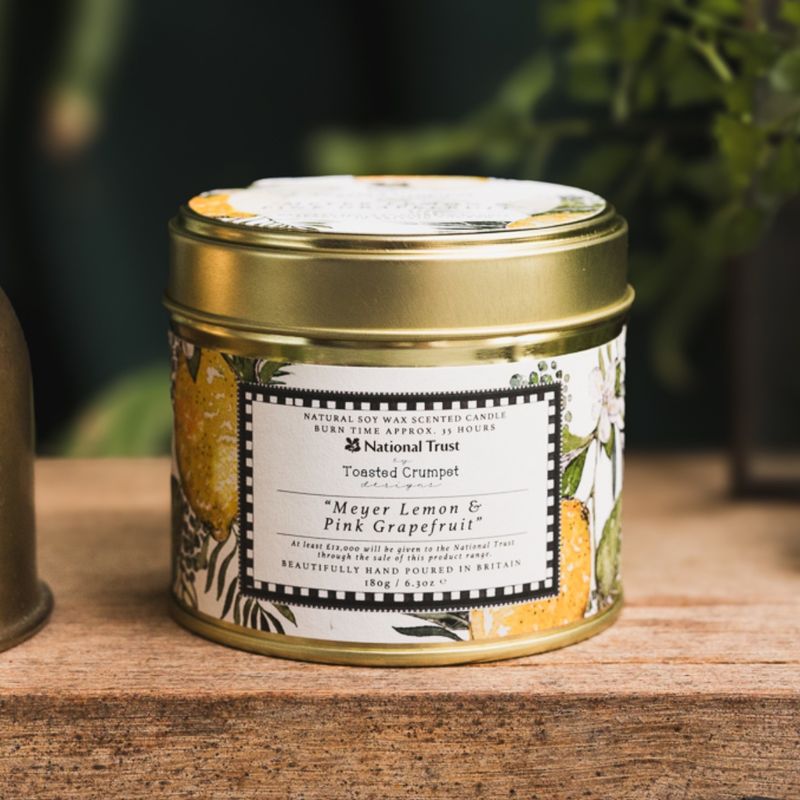 Toasted Crumpet - Meyer Lemon & Pink Grapefruit Scented Candle in a Matt Gol