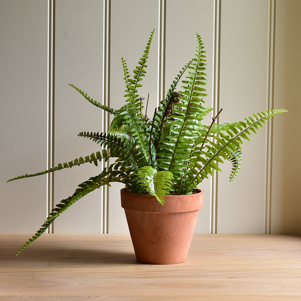 Boston Faux Fern In Terracotta Pot