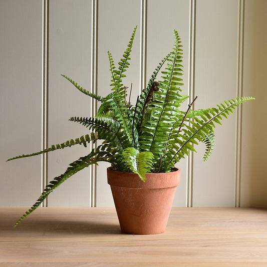 Boston Faux Fern In Terracotta Pot