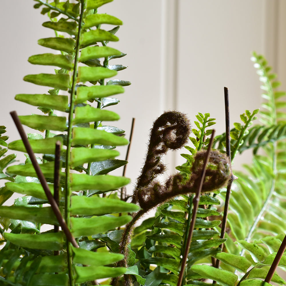 Boston Faux Fern In Terracotta Pot