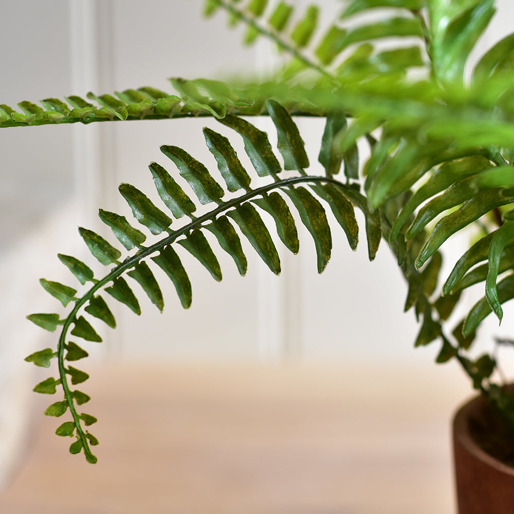 Boston Faux Fern In Terracotta Pot