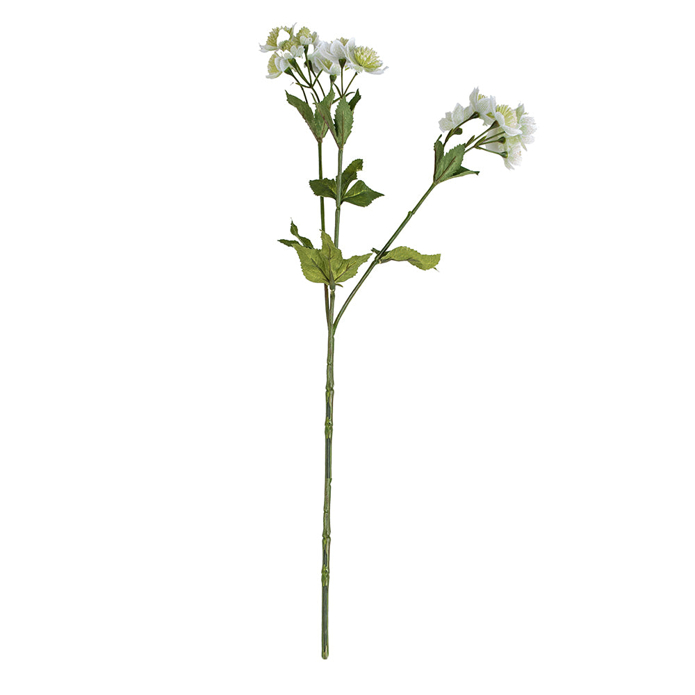 Astrantia Faux Spray - Apple White